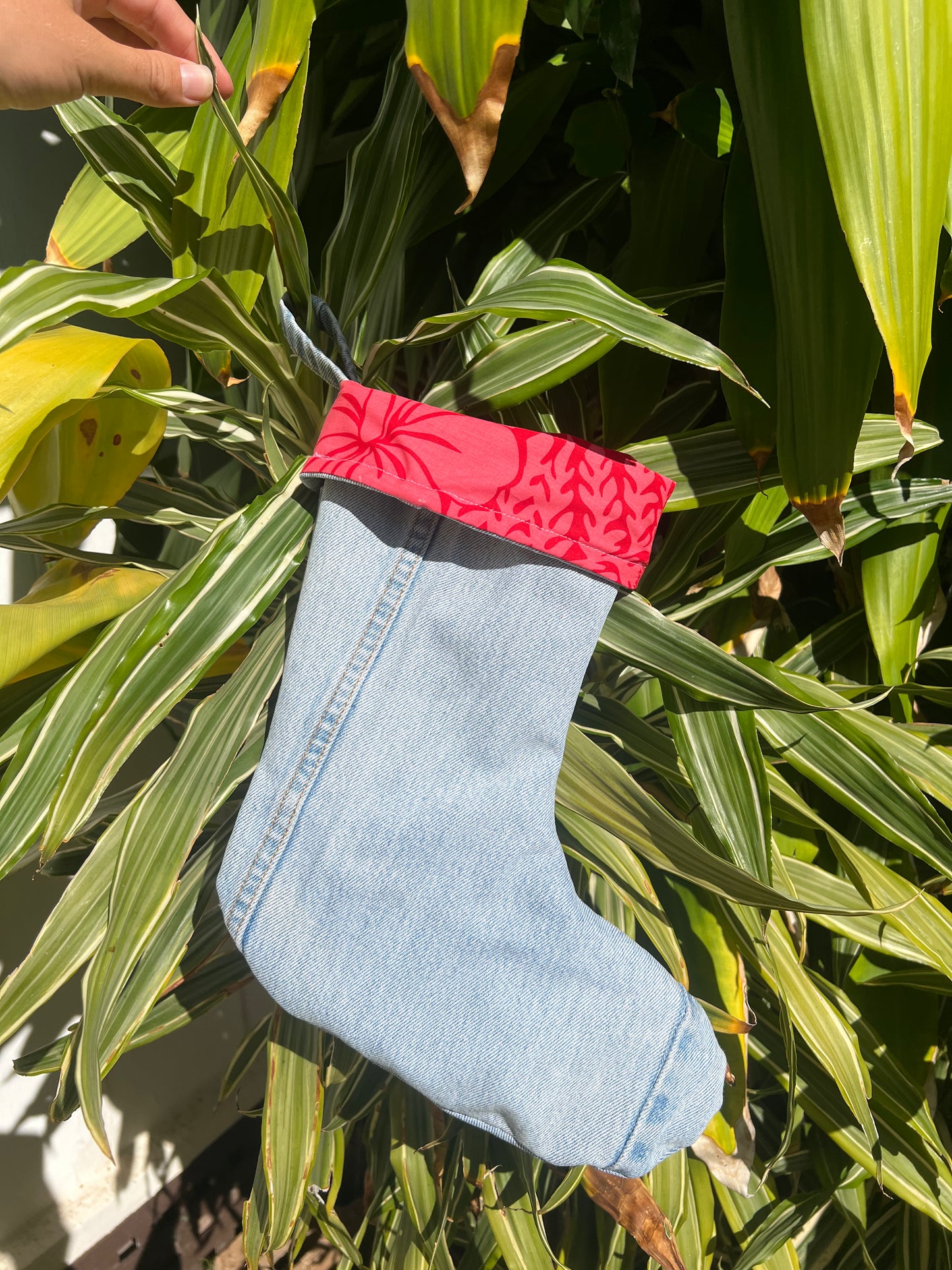 Snapdragon Stocking
